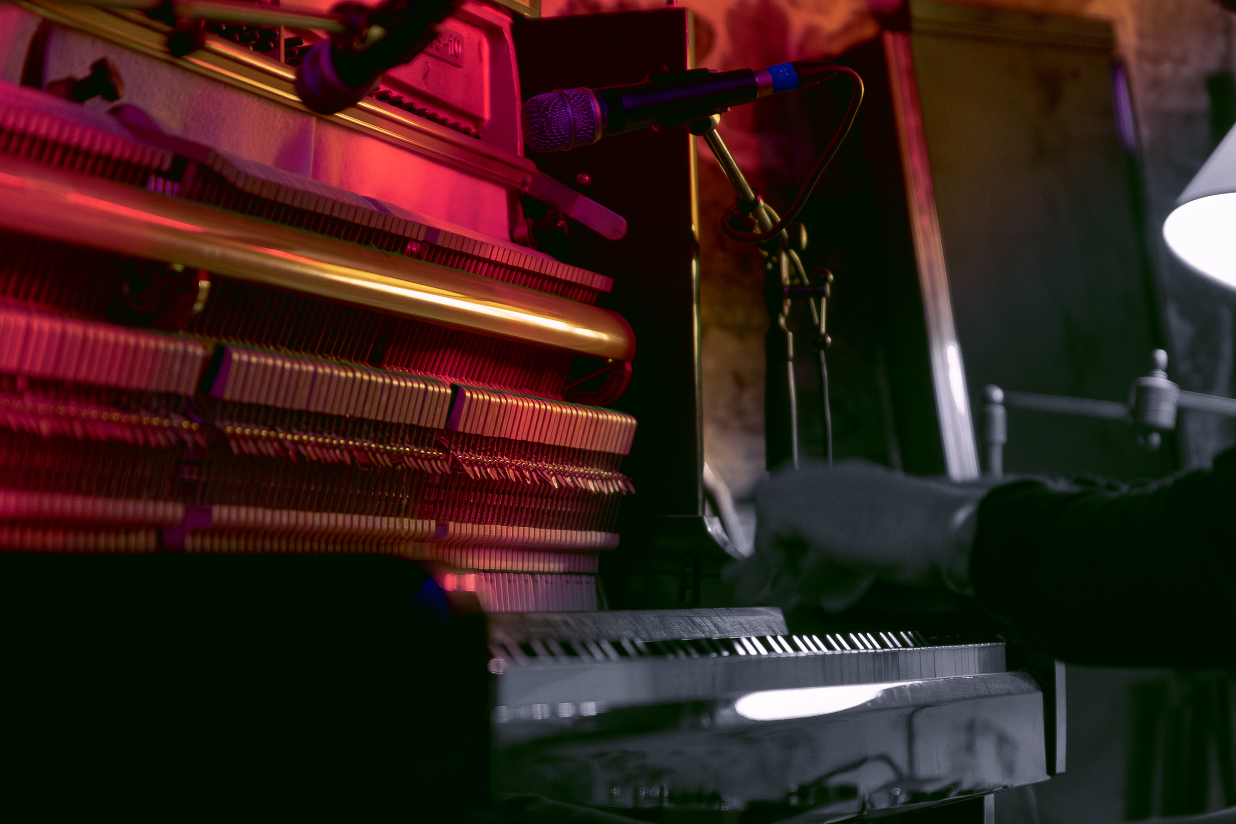 gros plan d'un piano et son pianiste