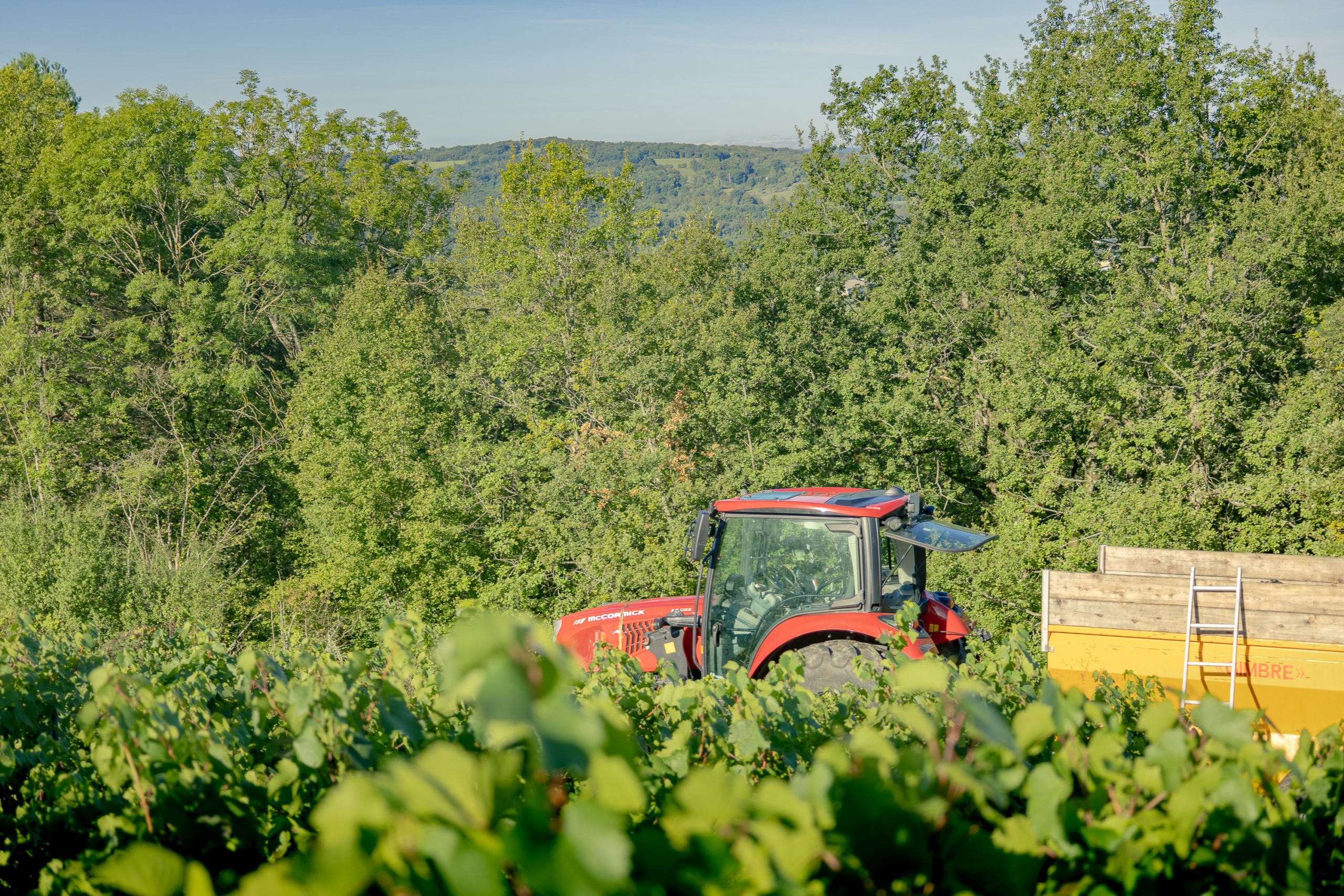 paysage avec des vignes et un tracteur en arrière plan