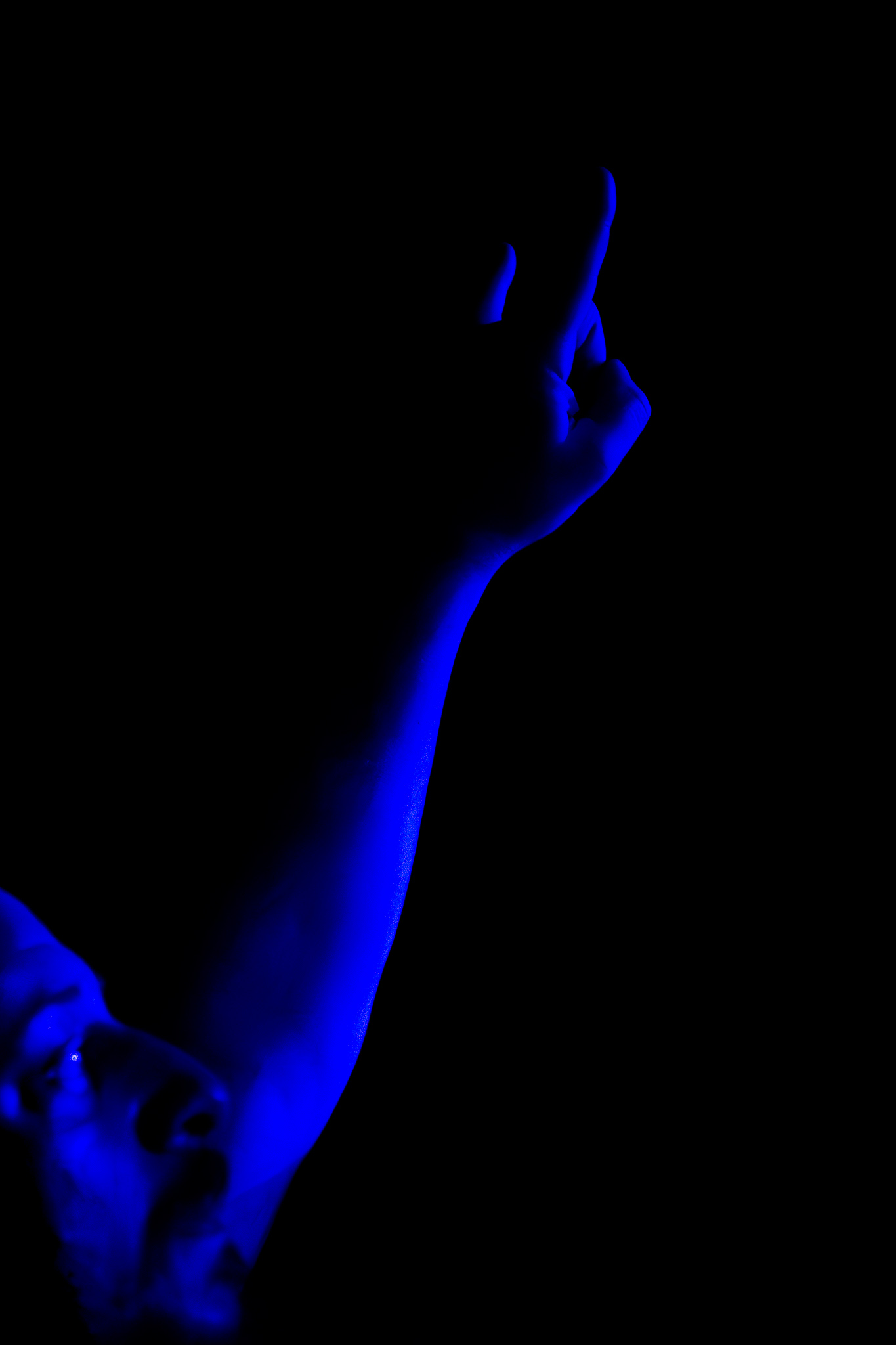 Bras levé d'un homme pendant un concert